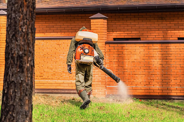 Bed Bug Clearance Verification and Documentation in Dysart